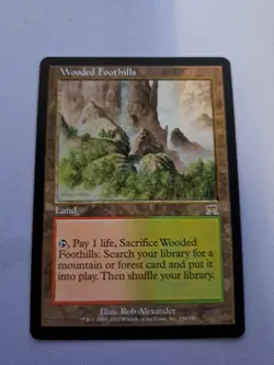MTG: Wooded Foothills (NM): Onslaught (S) - Image 1