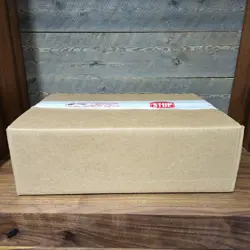 Pokemon TCG Prismatic Evolutions 25 BOX BOOSTER BUNDLE CASE Factory Sealed - Image 4