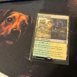 Mtg Temple Garden - Lorwyn Eclipsed + Bonus Foils - Image 1