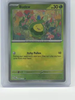 Pokemon TCG Budew Master Ball Pattern Holo Card 004/131 SV Prismatic Evolutions - Image 1