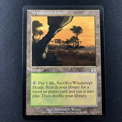Windswept Heath - Onslaught - Magic the Gathering - MTG - Image 1