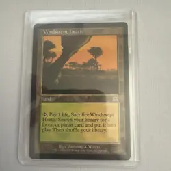 Windswept Heath - Onslaught (ONS), LP MTG - Image 1