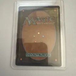 Windswept Heath - Onslaught (ONS), LP MTG - Image 2