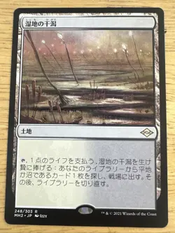 Japanese Marsh Flats - Modern Horizons 2 - Magic: the Gathering - Image 1