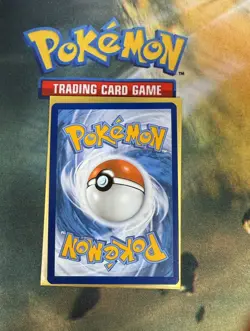Pokemon Squirtle 148/142 Stellar Crown Illustration Rare Holo - Image 3