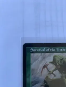 Survival of The Fittest Magic The Gathering Exodus MTG Rare Unplayed Excellent - Image 3