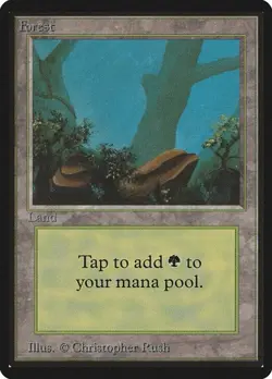 Forest (#300) Limited Edition Beta HP MTG - Image 1