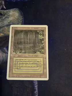 Bayou Revised Edition MTG - Image 1