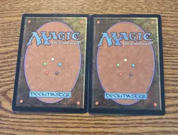 X2 MTG Magic The Gathering Warmth Tempest Regular NM - Image 2