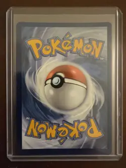 Pokemon TCG Squirtle Stellar Crown Illustration Rare 148/142 Scarlet & Violet - Image 4