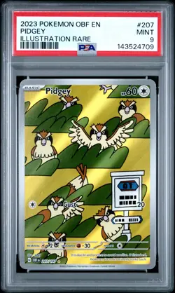 Pokemon TCG Pidgey SV03: Obsidian Flames 207/197 Illustration Rare Holo PSA 9 - Image 1