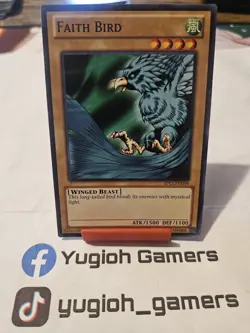 Yu-Gi-Oh Faith Bird SP13 Common Light Played - Image 1