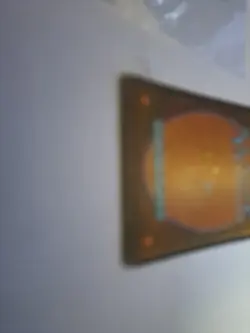 MTG: Lake of the Dead (HP): Alliances (S) - Image 4