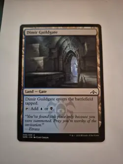 Dirmir Guildgate Mtg ( Guilds Of Ravnica - Image 1