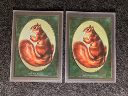 MTG 2 x Squirrel Token NM Unglued #94 Spencer Art 1998 MTG - Image 1
