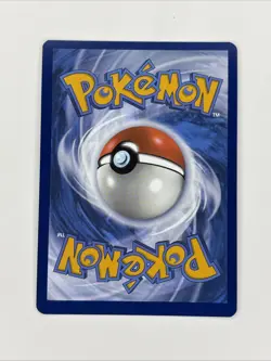Holo Dachsbun ex - 067/142 Double Rare Stellar Crown Pokemon TCG - Image 2