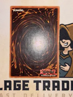 Parrot Dragon TP2-028 Common Yu-Gi-Oh! - Image 2