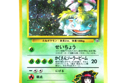 Pokemon Erika's Venusaur Holo 003 Gym Challenge Japanese Vintage Card 1999 - Image 5