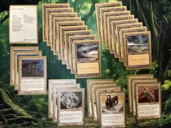 *MTG Magic the Gathering World Championship Deck 1998: Brian Hacker - Image 2