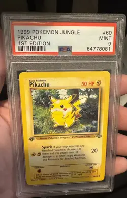 Pokemon Graded Slab Lot / Card Bundle 4 Graded slabs & More Pikachu, Groudon - Image 2