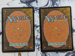 MTG - Wall of Reverence- Conflux - NM [X2] - Image 2