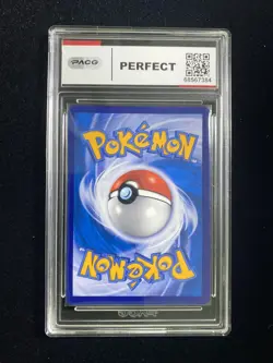 2023 Pokemon TCG S-CHN PROMO 079/S-P Charizard Vmax Holo PACG 10 Perfect EA51 - Image 2