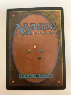 MTG LP Northern Paladin Revised 3rd Edition Regular Rare - Image 2