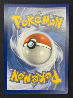 Pokemon Squirtle - Promo SWSH: Sword & Shield Promo Cards SWSH233 NM - Image 2