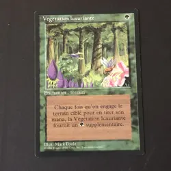 Wild Growth x1 French 1994 Ex Condition see front and back pics - Image 1