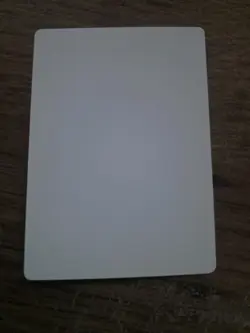 Willow Satyr Artist Proof SIGNED By Jeff Menges Mtg - Image 2