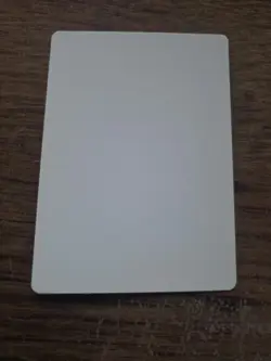 Giant Turtle Artist Proof SIGNED By Jeff Menges Mtg - Image 2