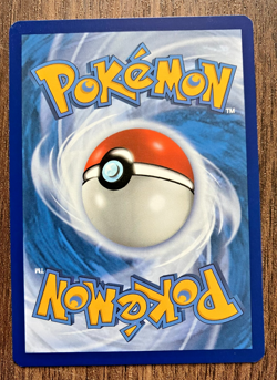 Teddiursa 138/189 - 2020 Pokemon Darkness Ablaze Common Card - CLEAN NM - Image 2