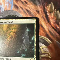 Overgrown Tomb (# 266) MTG Lorwyn Eclipsed - Regular - NM - Image 3