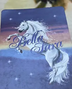 Bella Sara FOIL 1st series Silver 2006-- "Fiona" Card-- PLEASE READ DESC. - Image 5