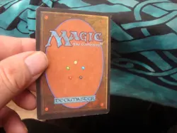 Cat Warriors MTG Legends - Image 2