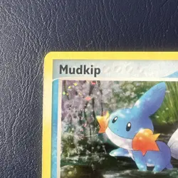 MP Pokemon Mudkip Promo Holo Card 018 EX Deck Tin - Image 3