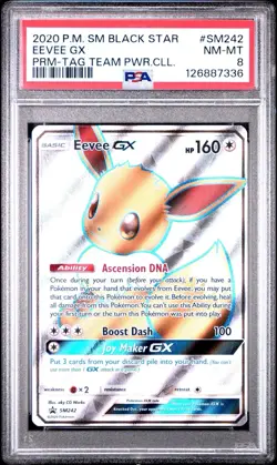 Eevee GX SM242 PSA 8 Holo Tag Team Power Collection Promo Pokemon Card 🔥🔥 - Image 1