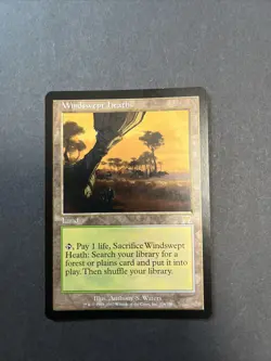 Windswept Heath Onslaught MTG Magic the Gathering - Image 1