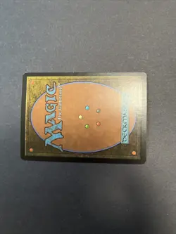 Windswept Heath Onslaught MTG Magic the Gathering - Image 2