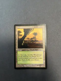 Windswept Heath Onslaught MTG Magic the Gathering - Image 3