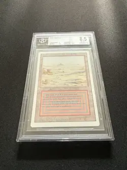 1994 MTG Revised BADLANDS Dual Land - BGS 8.5 NM-MT+ - Image 3