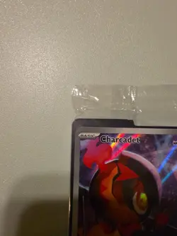 Pokemon TCG Phantasmal Flames ETB Black Star Promo - Sealed - Charcadet MEP 022 - Image 2