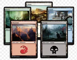 Magic: the Gathering - 300 Assorted MTG Basic Lands Cards - 60 ea - Image 1