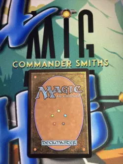 1x Hall of Heliod's Generosity ✨FOIL✨ ( 241) Modern Horizons MTG NM Mint MH1 - Image 2