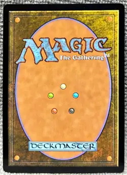 Coveted Falcon 393 Foil Borderless Murders At Karlov Manor Magic The Gathering - Image 2