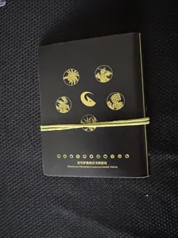 Pokemon S-Chinese Glow Theme Mini Binder from Dragon's Return Advanced Gift Box - Image 3