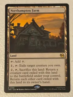NORTHAMPTON 188 R TEENAGE MUTANT NINJA TURTLES MAGIC: THE GATHERING NM/M - Image 1