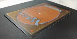 MTG ~ Savannah Lions ~ REVISED Edition - Magic the Gathering NM/M - Image 3