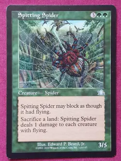 Magic The Gathering PROPHECY SPITTING SPIDER green card MTG - Image 1