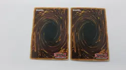 2x ( 1x 1st / 1x UNL ) KOA'KI MEIRU GUARDIAN RGBT-EN023 COMMON YUGIOH NM - Image 2